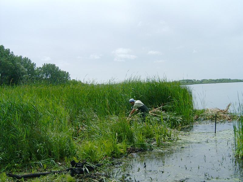 20120610 006.jpg